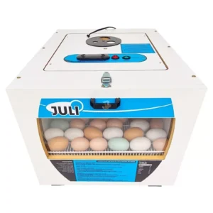 Incubadora elétrica para ovos ornamentais